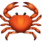 Krabbe Krabbe