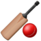 Cricket Cricket