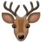 Hirsch Hirsch