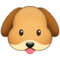 Hundegesicht Hundegesicht