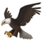 Adler Adler