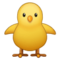 Küken Von Vorne Küken Von Vorne