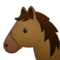 Pferdegesicht Pferdegesicht
