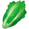 Blattgemüse Blattgemüse