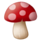 Fliegenpilz Fliegenpilz