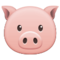 Schweinegesicht Schweinegesicht
