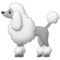 Pudel Pudel