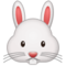 Hasengesicht Hasengesicht