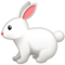 Hase Hase