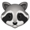 Waschbär Waschbär