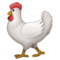 Hahn Hahn