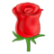 Rose Rose