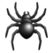 Spinne Spinne