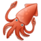 Tintenfisch Tintenfisch