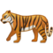 Tiger Tiger