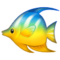 Tropenfisch Tropenfisch