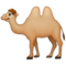 Trampeltier Trampeltier