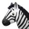 Zebra Zebra