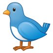 Vogel Vogel