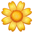 Gelbe Blüte Gelbe Blüte