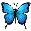 Schmetterling Schmetterling