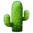 Kaktus Kaktus