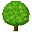 Laubbaum Laubbaum