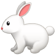 Hase Hase