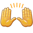 Zwei Erhobene Handflächen