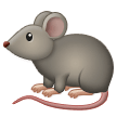 Ratte Ratte