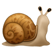 Schnecke Schnecke