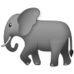פיל