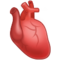 Herz (Organ) Herz (Organ)