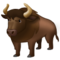 Bison Bison