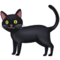 Schwarze Katze Schwarze Katze