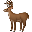 Hirsch Hirsch