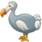 Dodo Dodo