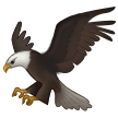 Adler Adler