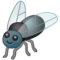 Fliege Fliege