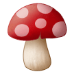 Fliegenpilz Fliegenpilz