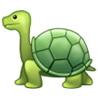 Schildkröte Schildkröte