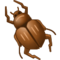 Жук Жук