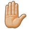 Піднята долоня: Середньо-Світлий Відтінок Шкіри Піднята долоня: Середньо-Світлий Відтінок Шкіри