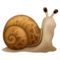 Равлик Равлик