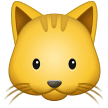 Морда кота