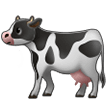 गाय
