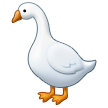 हंस