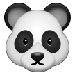 पांडा