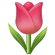 ट्यूलिप
