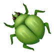 Coleottero